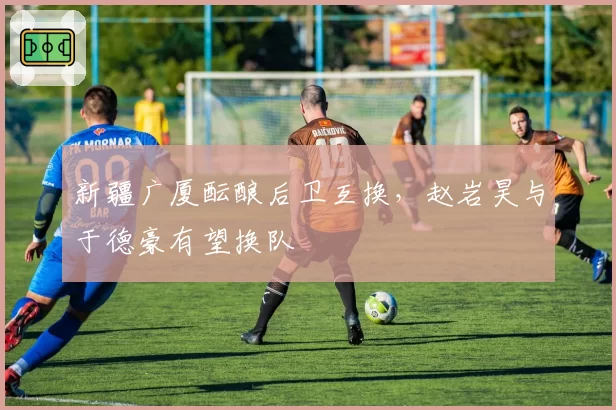 新疆广厦酝酿后卫互换，赵岩昊与于德豪有望换队