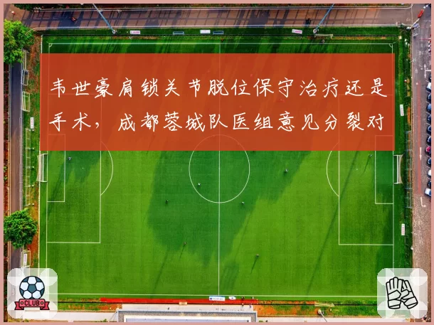 韦世豪肩锁关节脱位保守治疗还是手术，成都蓉城队医组意见分裂对比申花同伤情处理方案各执一词